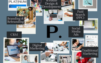 Welcome to Platinum Marketing Agency!